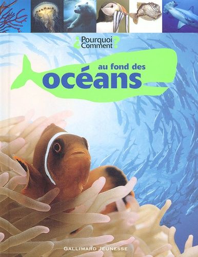 Au Fond Des Océans