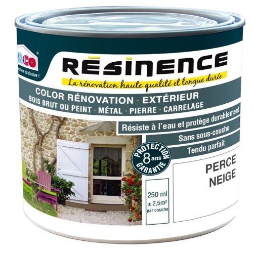 Résine Colorée de Rénovation Extérieure RÉSINENCE Color Perce Neige 250ml
