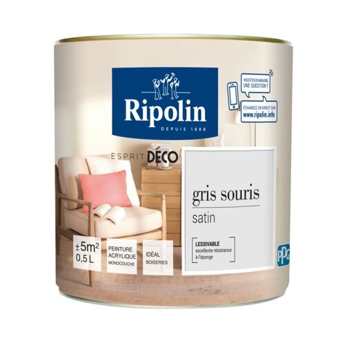 Peinture acrylique Ripolin ESPRIT DECO monocouche satin 0L5 gris souris