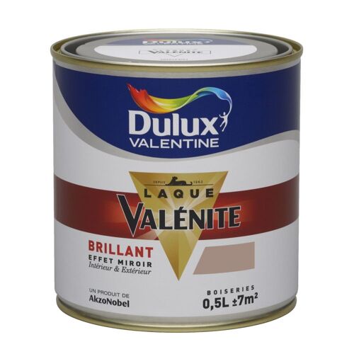 Peinture Dulux Valentine Laque Valénite Brillant Titanium 0,