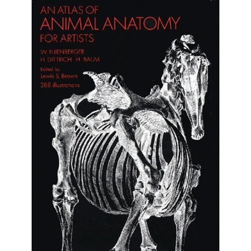 An Atlas Of Animal Anatomy For Artists