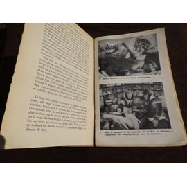 Le Visage De L'arctique