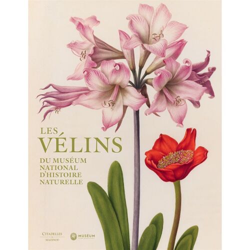Les Vélins Du Muséum National D'histoire Naturelle