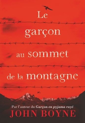 Le Garçon Au Sommet De La Montagne