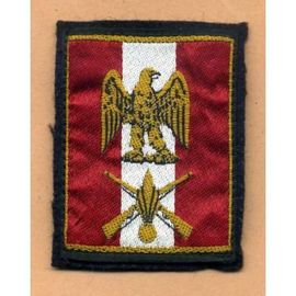 15ème Division D'infanterie - Écusson De Manche