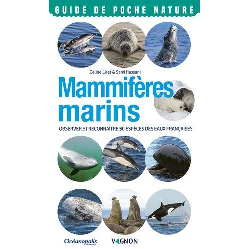 Mammifères Marins