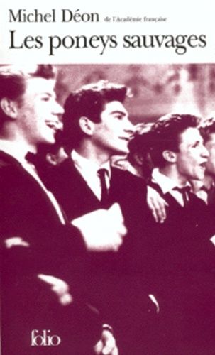 Les Poneys Sauvages