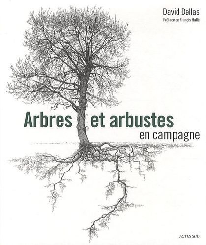 Arbres Et Arbustes En Campagne