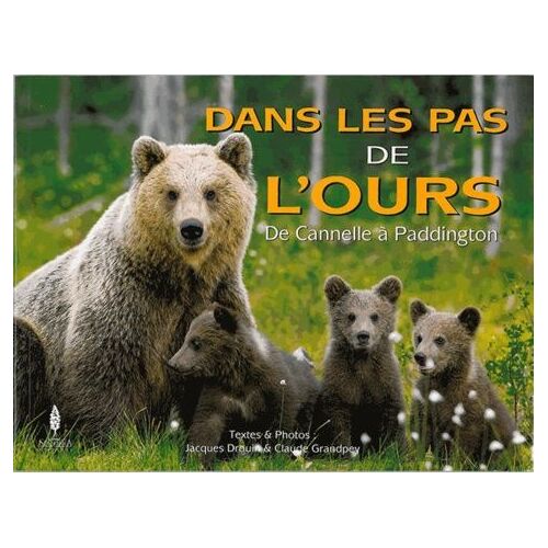 Dans Les Pas De L'ours - De Cannelle À Paddington