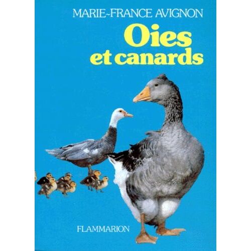 Oies Et Canards