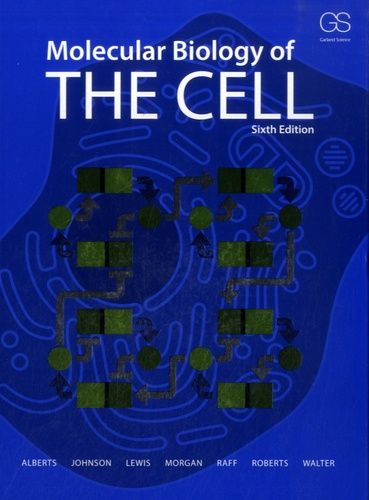 Molecular Biology Of The Cell