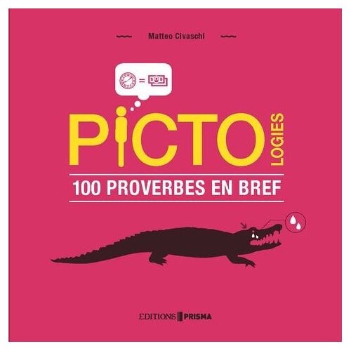 Pictologies - 100 Proverbes En Bref