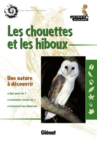 Les Chouettes Et Les Hiboux