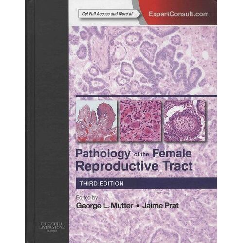 Pathology Of The Female Reproductive Tract