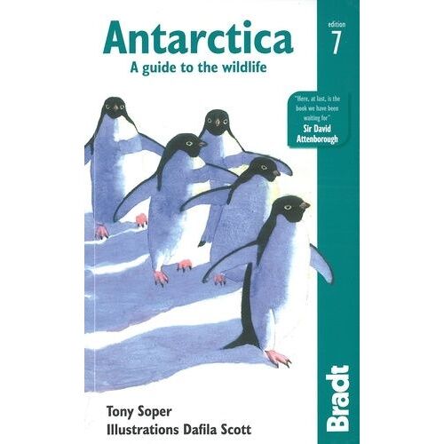 Antarctica Wildlife