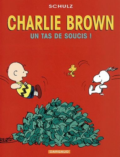 Charlie Brown Tome 4 : Un Tas De Soucis
