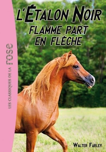 L'etalon Noir - Tome 12 - Flamme Part En Flèche