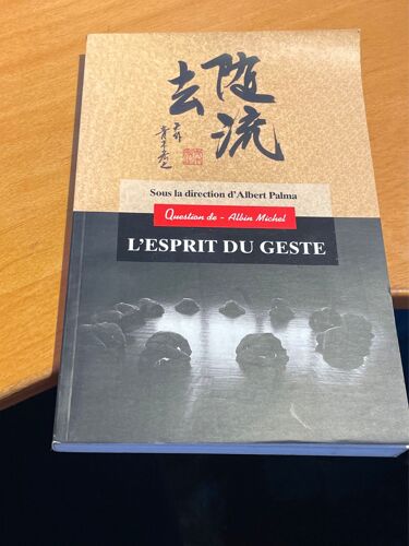 Question De N°117 : L'esprit Du Geste