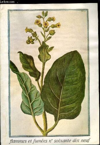 Flammes Et Fumees N° 79 - Tabacs. Planteurs Et Seita. M. Millet. Politique Contractuelle. Culture En France. Organisation Des Planteurs De 1927 A 1977. Services Agronomiques. Centre De Formation.(...)