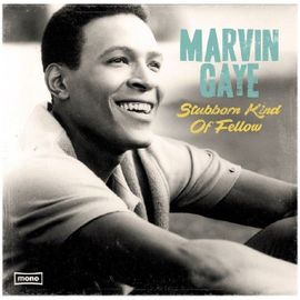 Stubborn Kind Of Fellow