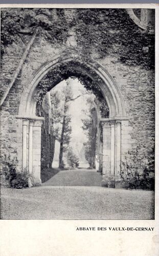 Carte Postale Des Vaux De Cernay (Yvelines) Abbaye Des Vaux De Cernay : Vue Partielle