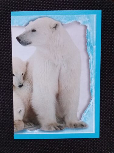 Amici Cucciolotti N°66 - Album Orange De 2018 - Image Vignette Panini