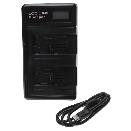 vhbw 2x Chargeur double compatible avec Canon Legria HF R806, HF R68, HF R706, HF R76, HF R78 caméra, caméscope, action-cam - Station avec écran LED