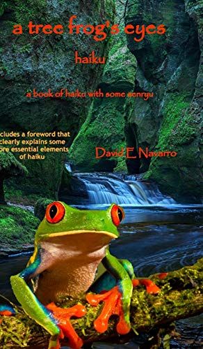 A Tree Frog's Eyes