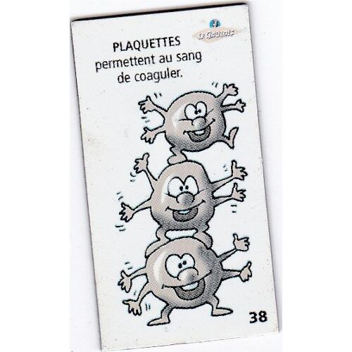 Magnet Le Gaulois Le Corps Humain N° 38 Plaquettes