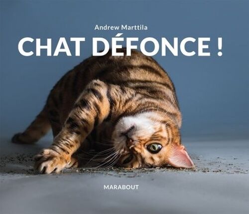 Chat Défonce !