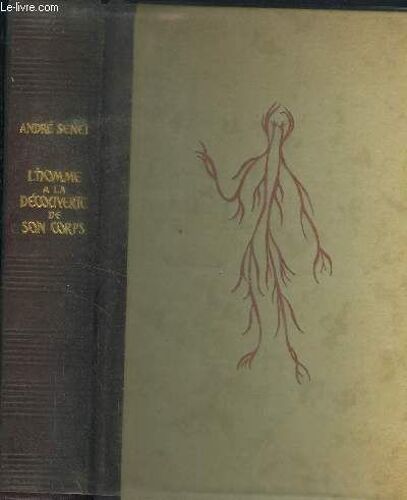 L Homme À La Découverte De Son Corps