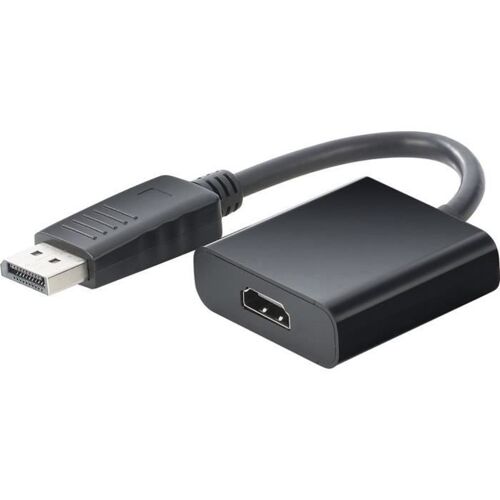 Adaptateur DisplayPort vers HDMI