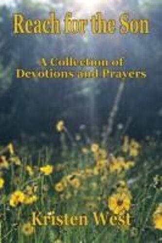 Reach For The Son