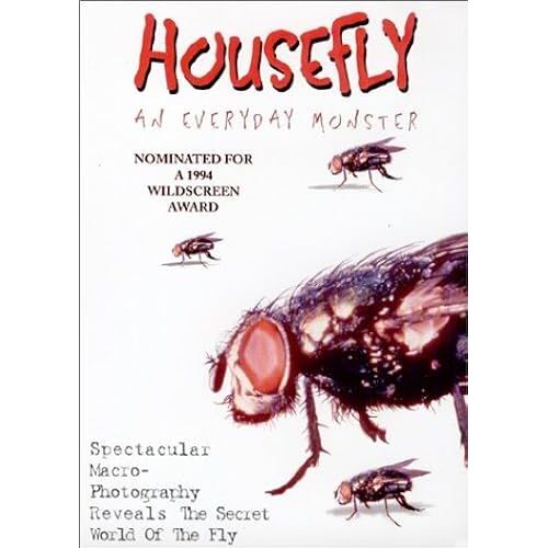 Housefly: An Everyday Monster