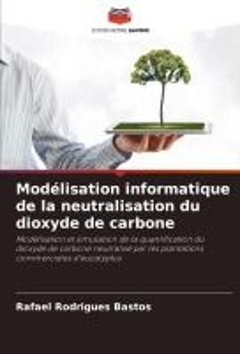 Modélisation Informatique De La Neutralisation Du Dioxyde De Carbone