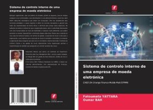 Sistema De Controlo Interno De Uma Empresa De Moeda Eletrónica