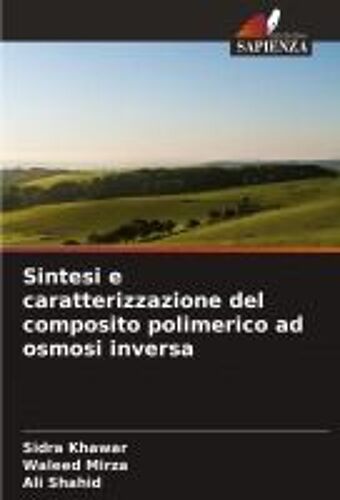 Sintesi E Caratterizzazione Del Composito Polimerico Ad Osmosi Inversa