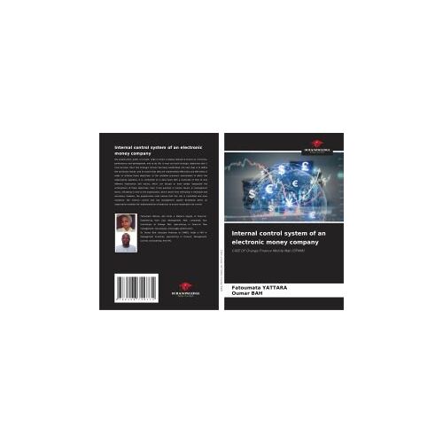 Internal Control System Of An Electronic Money Company