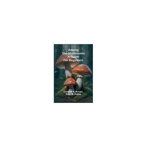 Among The Mushrooms