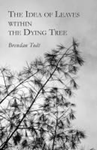 The Idea Of Leaves Within The Dying Tree