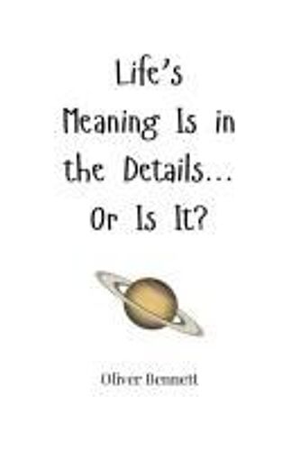 Life's Meaning Is In The Details... Or Is It?