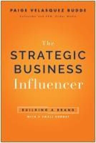 Strategic Business Influencer