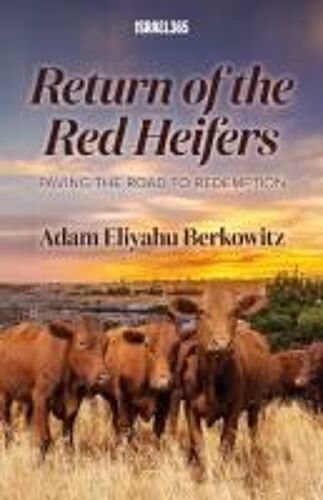 Return Of The Red Heifers