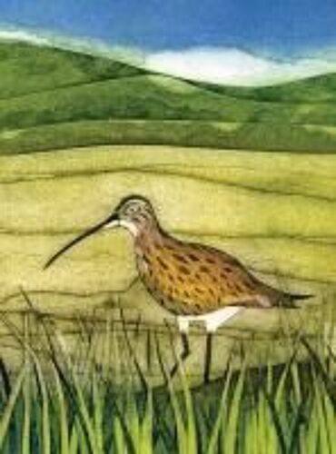 Wild Birds Pocket Notebook: Curlew