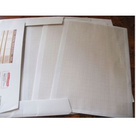 Treize Feuilles De Papier Millimétré A4-21x29.7cm-72g/M² Avec Carton Support Rigide Et Pochette D'emballage À 4 Encoches De Maintien-Marque Auchan