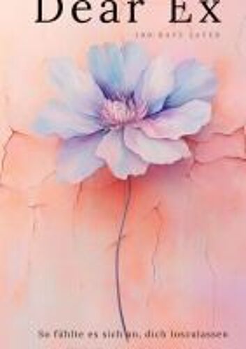 Dear Ex - 100 Days Later