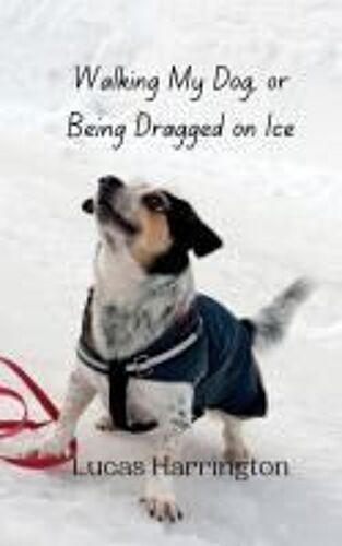 Walking My Dog, Or Being Dragged On Ice