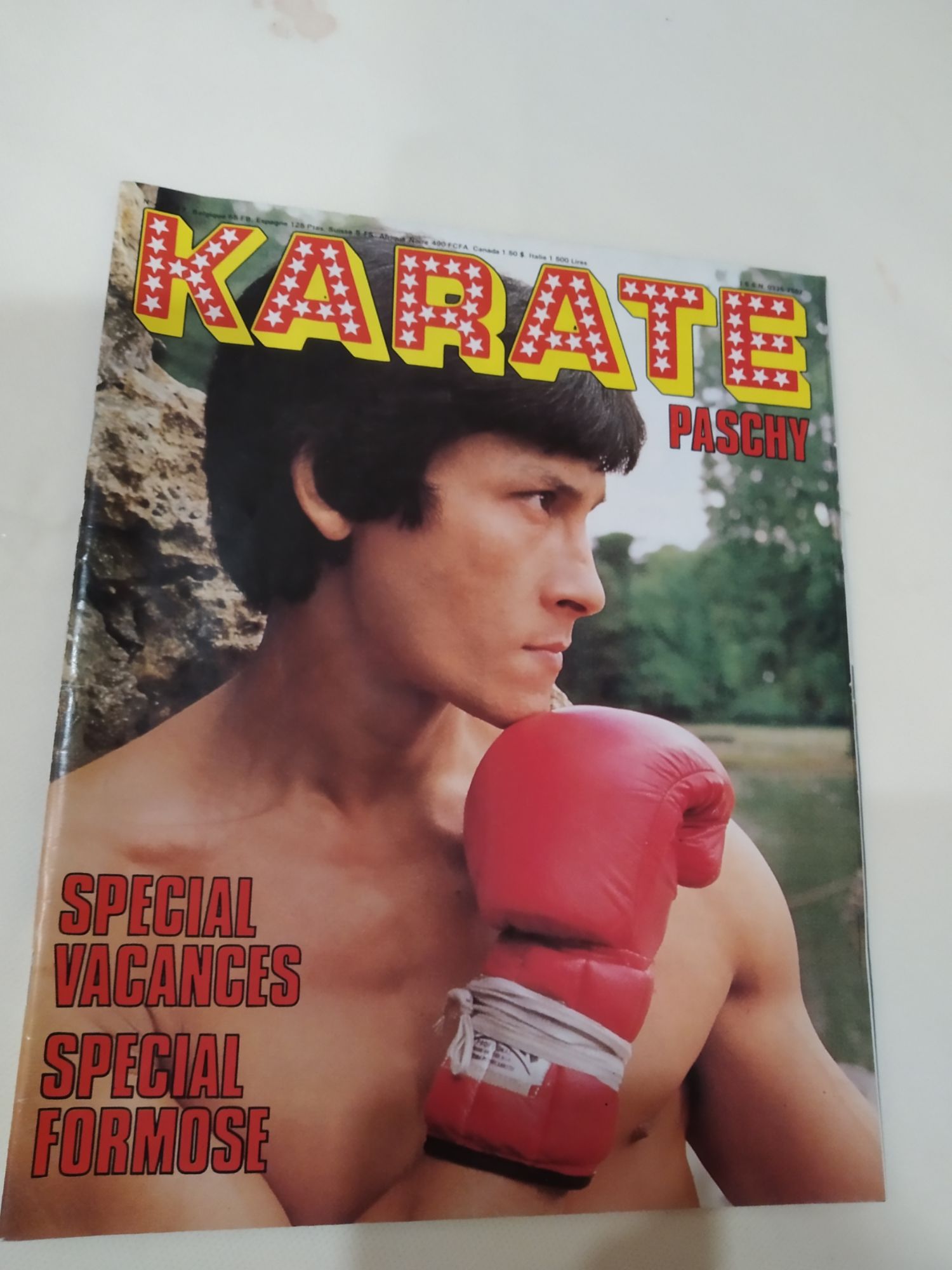 Passion Wing Chun: décembre 2015, image size:1500x2000