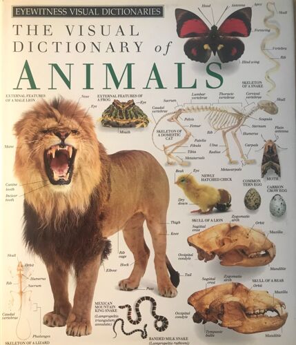 The Visual Dictionary Of Animals