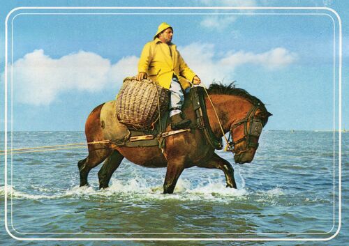 Carte Postale Xx Eme Siecle - Theme Pêche - Chasse - Pêcheur De Crevette - Non Ecrite -10.50 Cm X 15 Cm